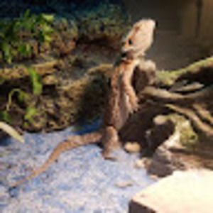 Meet your Posher, Mike